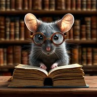 Милая крыска в очках читает книгу в библиотеке